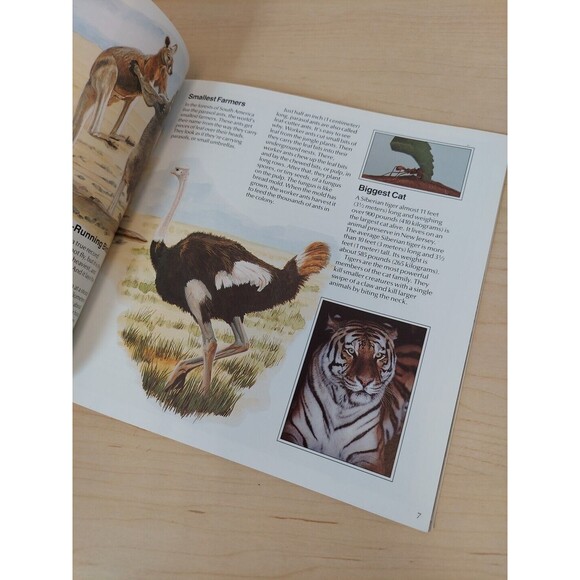 1990 Record Breakers of the Land by Rupert Matthews (Trade Paperback) Book Vtg - Picture 9 of 9